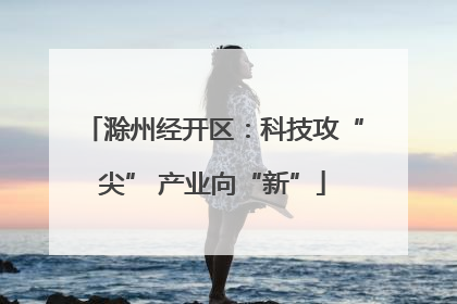 滁州经开区：科技攻“尖” 产业向“新”