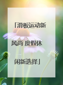 滑板运动新风尚 度假休闲新选择