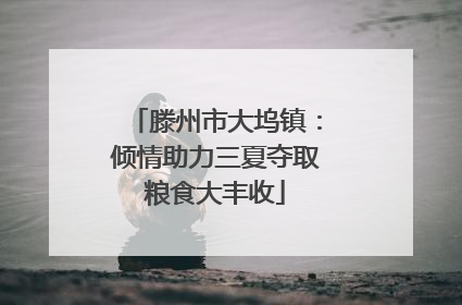 滕州市大坞镇：倾情助力三夏夺取粮食大丰收