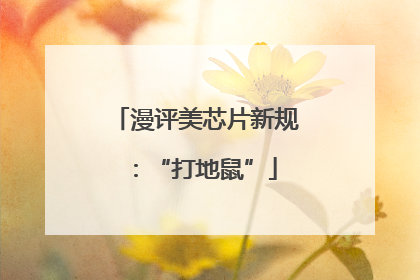 漫评美芯片新规：“打地鼠”