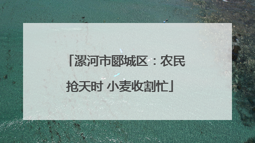 漯河市郾城区：农民抢天时 小麦收割忙