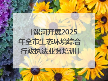 漯河开展2025年全市生态环境综合行政执法业务培训