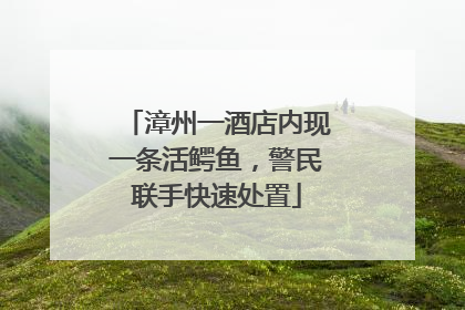 漳州一酒店内现一条活鳄鱼，警民联手快速处置