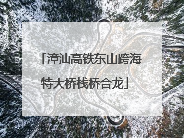 漳汕高铁东山跨海特大桥栈桥合龙