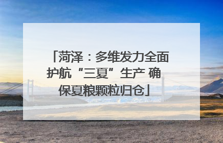 菏泽：多维发力全面护航“三夏”生产 确保夏粮颗粒归仓