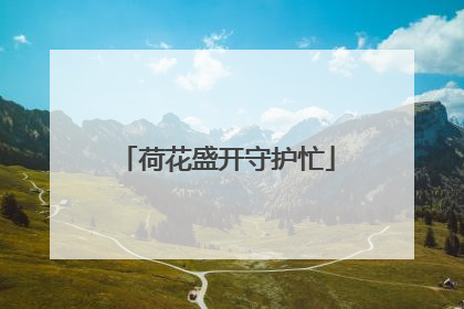 荷花盛开守护忙