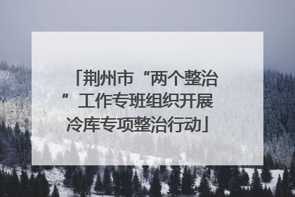 荆州市“两个整治”工作专班组织开展冷库专项整治行动