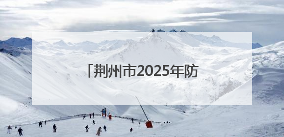 荆州市2025年防汛应急综合演练举行