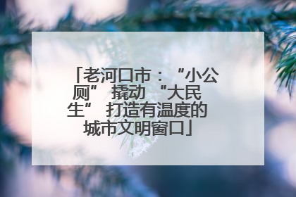 老河口市：“小公厕” 撬动 “大民生” 打造有温度的城市文明窗口