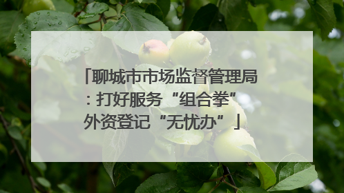 聊城市市场监督管理局：打好服务“组合拳” 外资登记“无忧办”