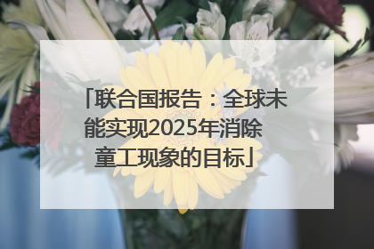 联合国报告：全球未能实现2025年消除童工现象的目标