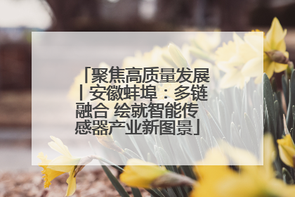 聚焦高质量发展丨安徽蚌埠：多链融合 绘就智能传感器产业新图景