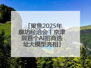 聚焦2025年廊坊经洽会丨京津冀首个AI招商选址大模型亮相