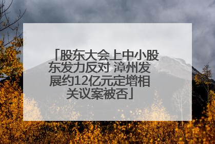 股东大会上中小股东发力反对 漳州发展约12亿元定增相关议案被否