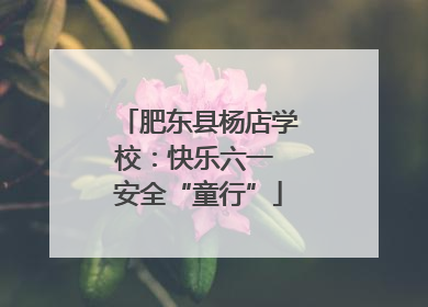 肥东县杨店学校：快乐六一 安全“童行”