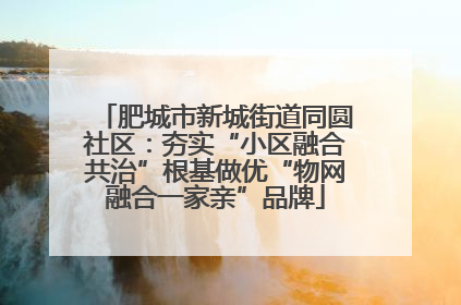 肥城市新城街道同圆社区：夯实“小区融合共治”根基做优“物网融合一家亲”品牌