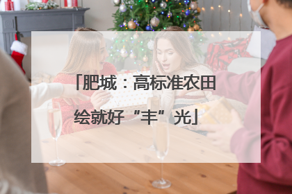 肥城：高标准农田绘就好“丰”光