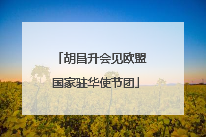 胡昌升会见欧盟国家驻华使节团