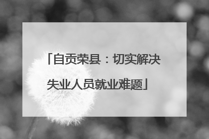自贡荣县：切实解决失业人员就业难题