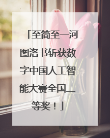 至简至一河图洛书斩获数字中国人工智能大赛全国二等奖！