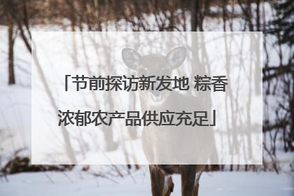 节前探访新发地 粽香浓郁农产品供应充足