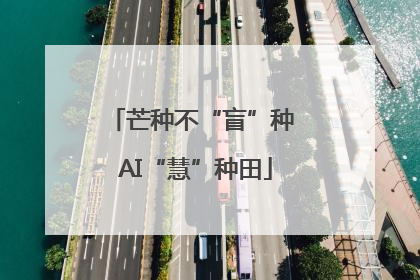 芒种不“盲”种 AI“慧”种田