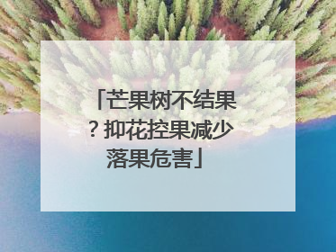 芒果树不结果？抑花控果减少落果危害