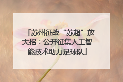 苏州征战“苏超”放大招：公开征集人工智能技术助力足球队