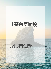 茅台集团领导层有调整