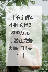 董宇辉4小时卖出3800万元，潜江龙虾火爆“出圈”