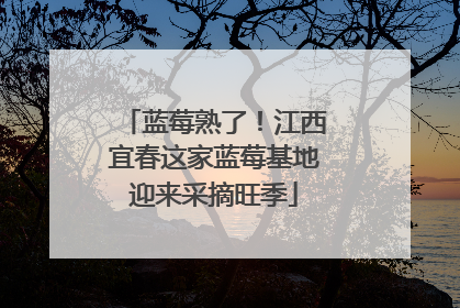 蓝莓熟了！江西宜春这家蓝莓基地迎来采摘旺季
