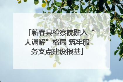蕲春县检察院融入“大调解”格局 筑牢服务支点建设根基