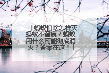 蚂蚁怕啥怎样灭蚂蚁不留痕？蚂蚁用什么药能彻底消灭？答案在这！