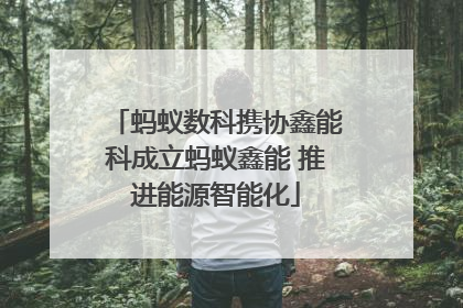 蚂蚁数科携协鑫能科成立蚂蚁鑫能 推进能源智能化