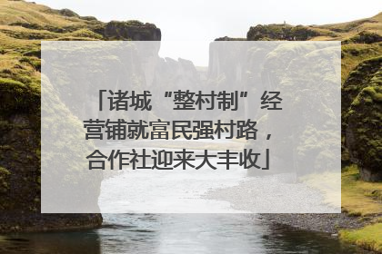 诸城“整村制”经营铺就富民强村路，合作社迎来大丰收