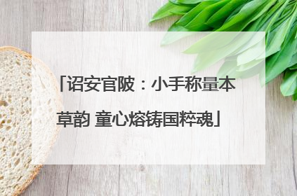诏安官陂：小手称量本草韵 童心熔铸国粹魂