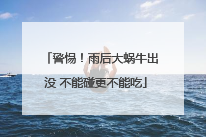 警惕！雨后大蜗牛出没 不能碰更不能吃