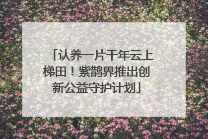 认养一片千年云上梯田！紫鹊界推出创新公益守护计划
