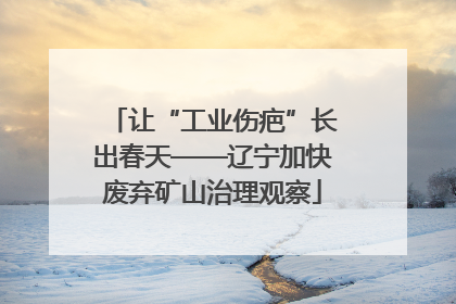 让“工业伤疤”长出春天——辽宁加快废弃矿山治理观察