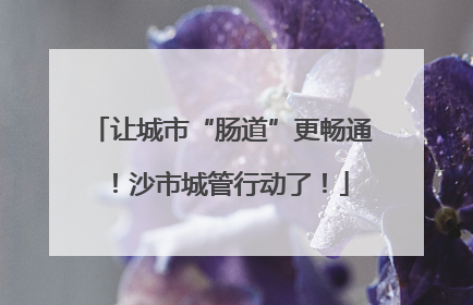 让城市“肠道”更畅通！沙市城管行动了！
