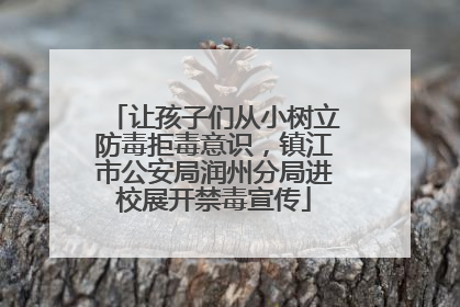 让孩子们从小树立防毒拒毒意识，镇江市公安局润州分局进校展开禁毒宣传