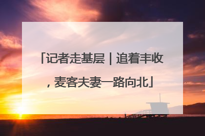 记者走基层｜追着丰收，麦客夫妻一路向北