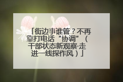 街边事谁管？不再靠打电话“协调”（干部状态新观察·走进一线探作风）