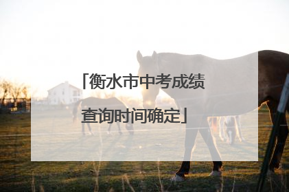 衡水市中考成绩查询时间确定