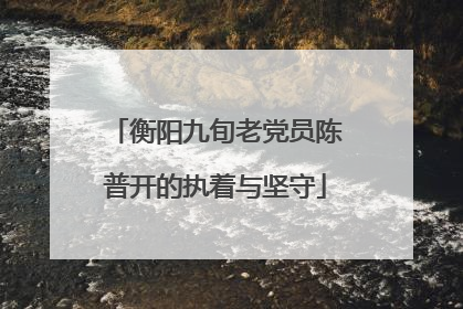 衡阳九旬老党员陈普开的执着与坚守