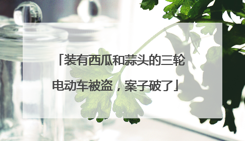 装有西瓜和蒜头的三轮电动车被盗，案子破了