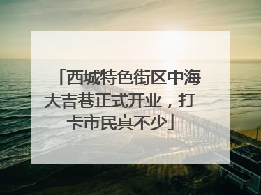 西城特色街区中海大吉巷正式开业，打卡市民真不少
