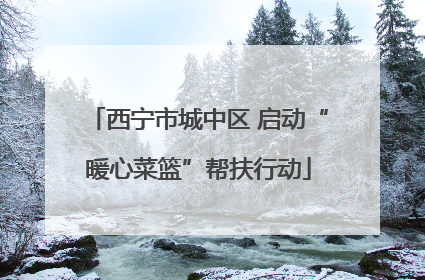 西宁市城中区 启动“暖心菜篮”帮扶行动
