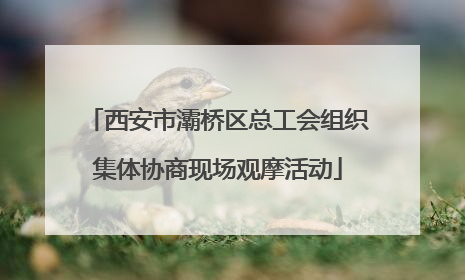 西安市灞桥区总工会组织集体协商现场观摩活动