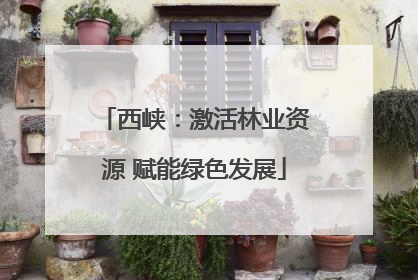 西峡：激活林业资源 赋能绿色发展